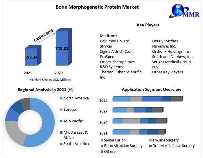 Bone morphogenetic protein